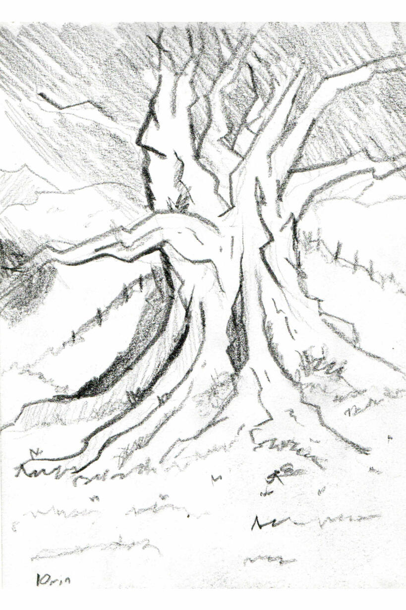 Tree Drawing